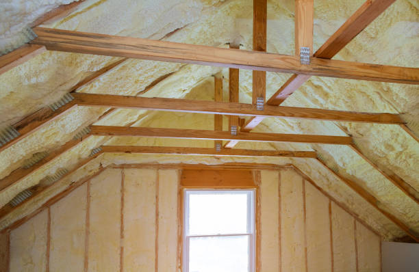 Best Blown-in Insulation in St Augustine, FL